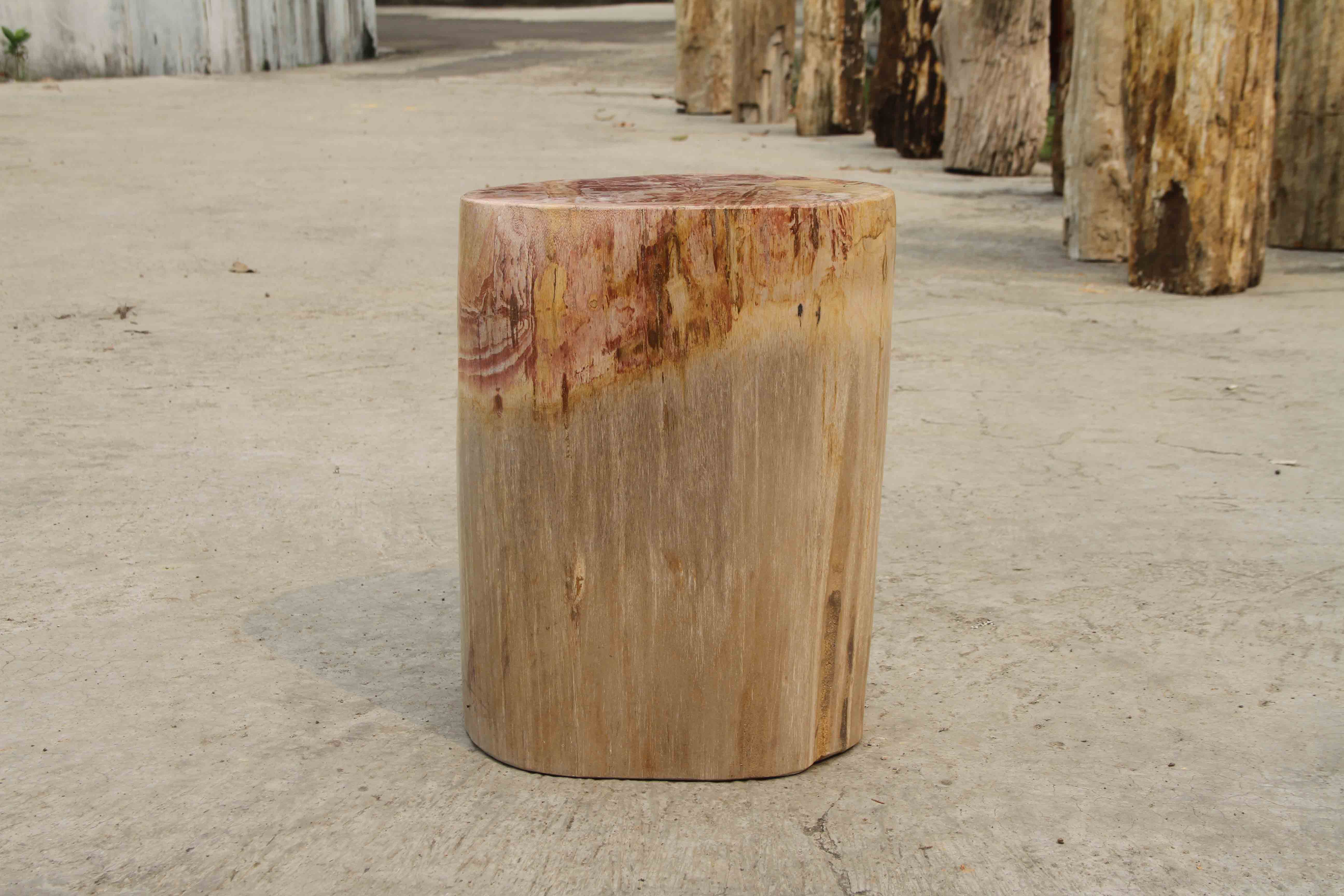 Petrified Wood Log Stool 13"x 9"x 18"H -PFST0673/19 - Image 13