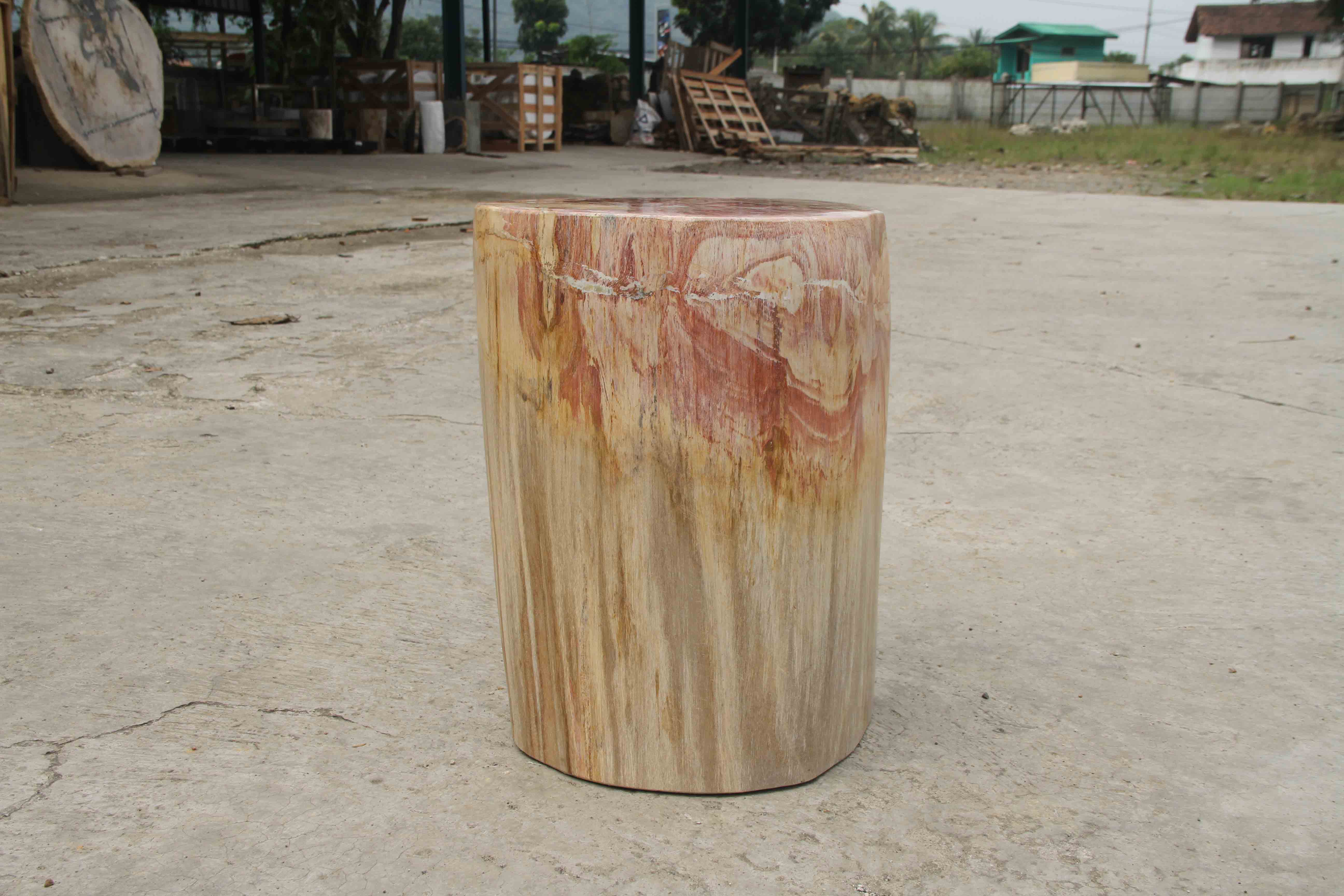 Petrified Wood Log Stool 13"x 9"x 18"H -PFST0673/19 - Image 14